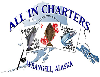 All In Charters